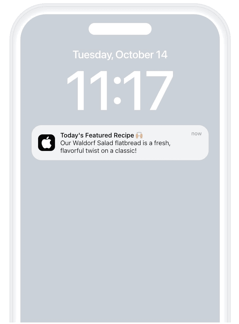 Push Notification Campaign
